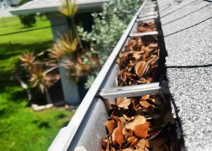 Webster gutter cleaning home page